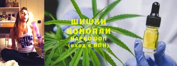прущие крисы Козловка