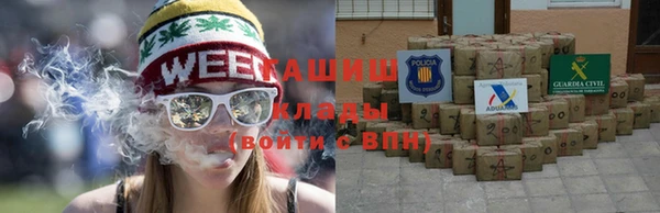 индика Козельск
