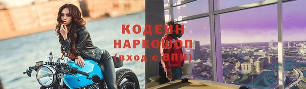 индика Козельск