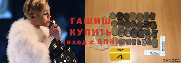 индика Козельск