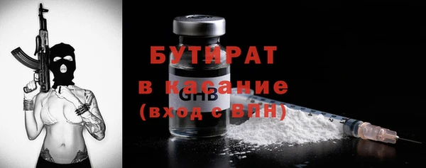 индика Козельск