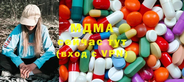индика Козельск