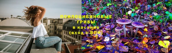 прущие крисы Козловка