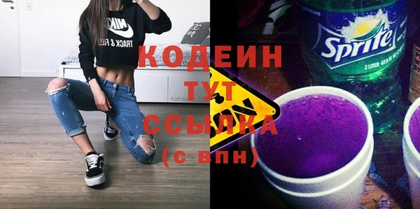 индика Козельск