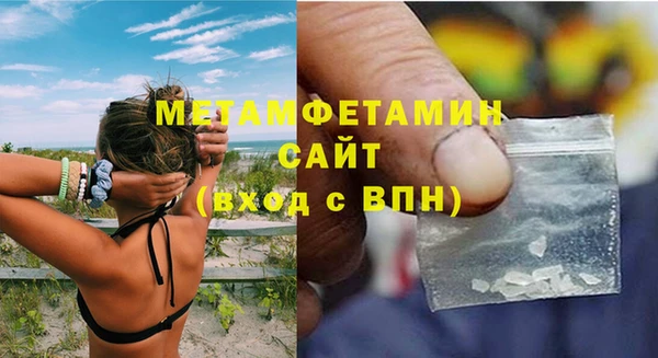 индика Козельск