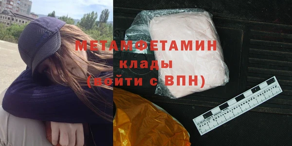 индика Козельск