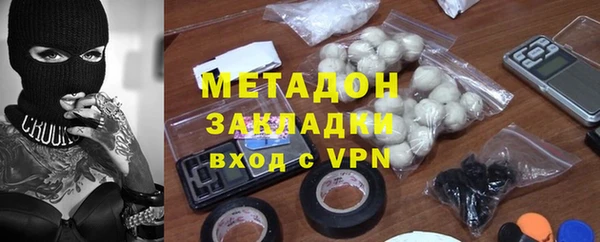индика Козельск