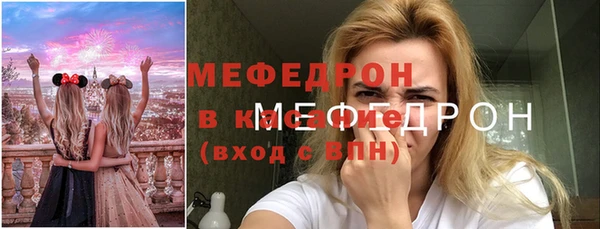 индика Козельск