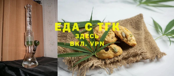индика Козельск