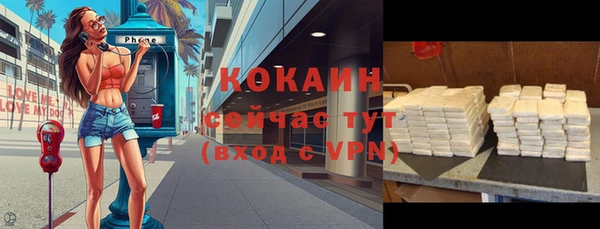 индика Козельск