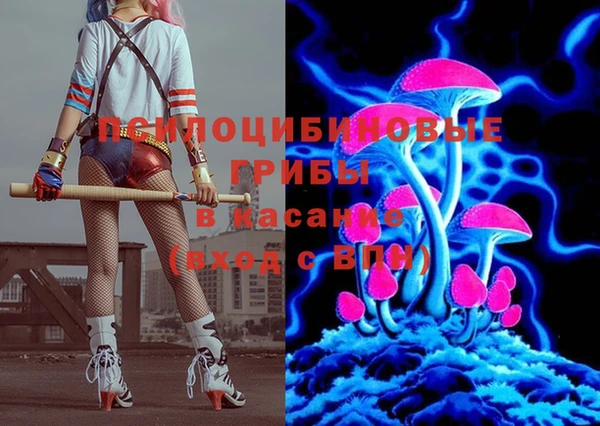 индика Козельск