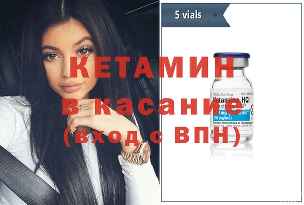 индика Козельск