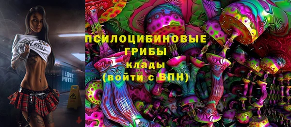 mdpv Кодинск