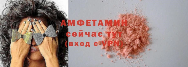 индика Козельск