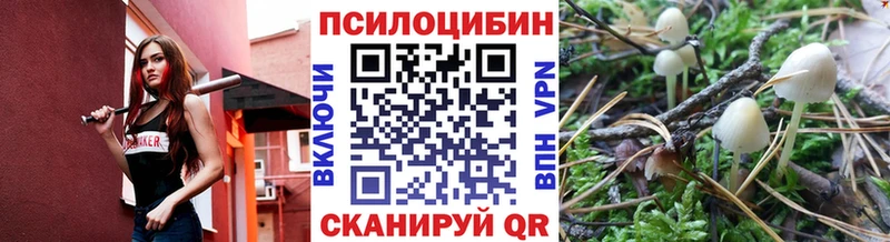 Псилоцибиновые грибы мухоморы  Купить где  Камбарка 